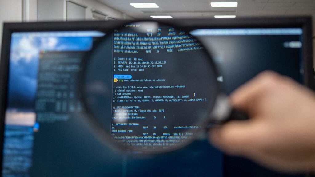 code vulnerabilities assessment illustration