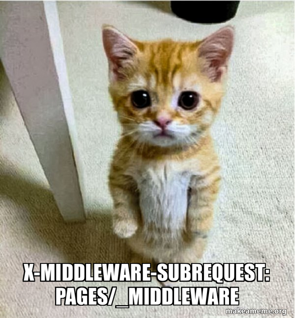 Cute Cat Standing meme, with the header for exploiting the bypass as its caption