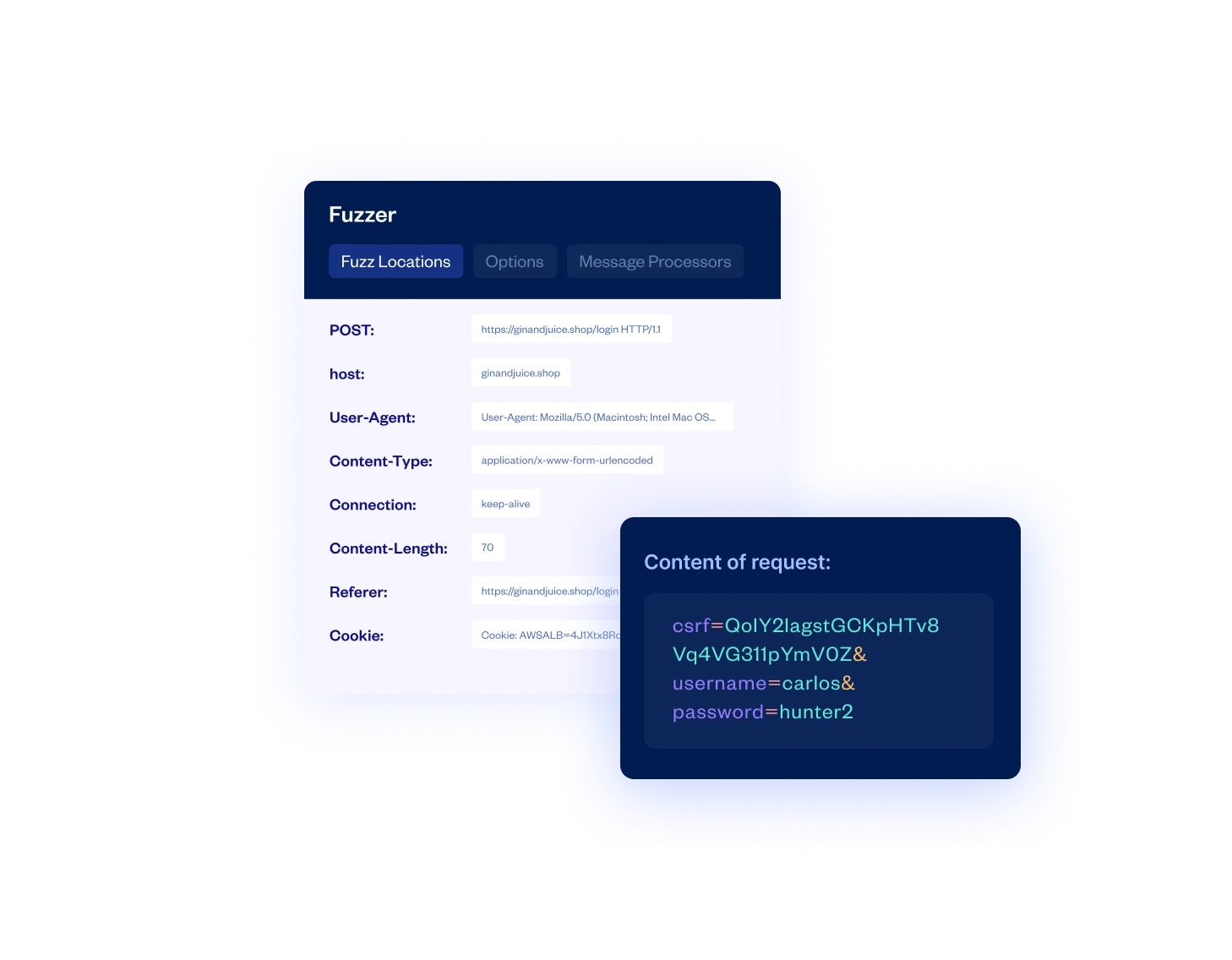 Advanced User Controls for Manual Penetration Testi