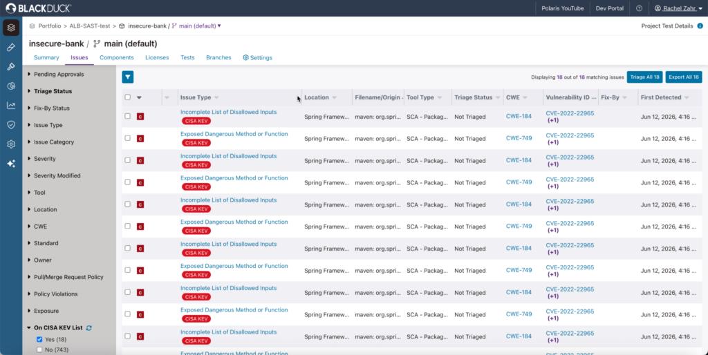 Blackduck Synopsys UI
